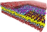 New Design Rule Brings One Step Closer to Nature-Inspired Nanostructures
