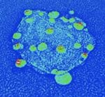 Diamond-Based Hybrid Nanoparticles Could Improve Next-Generation Technologies