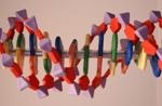 New Study on DNA Conductivity Could Pave Way for Low-Cost Nanoelectronic Devices