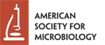 New Nanocapsules Cure Majority of Parasite-Infected Mice