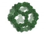 Self-Assembling Protein Nano-Cages Could Carry Cargo into Living Cells