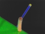 Scientists Demonstrate Novel Approach to Magnetomechanical Nanoactuation