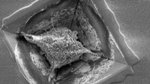 UT’s NanoLab Performs Real Life Brain Studies