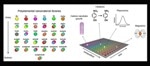 Researchers Develop a Nanoparticle Testing Tool to Determine the Best Nanoparticle