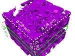 Scientists Develop Injectable Biomaterial with Nanoscale Sponge Particles