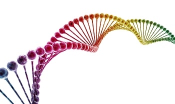 DNA-Based Nanomachine Could Help Detect Traces of Substances