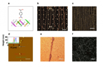 Technion Breakthrough in Carbon Nanotubes Could Help Replace Silicon Chips in Various Electronic Devices