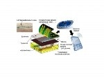 New Thread-Based Diagnostic Platform Holds Promise for Advanced Implantable and Wearable Diagnostics
