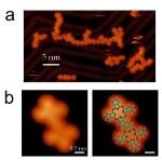 New Chemical Reaction for Synthesis of Nanostructures for Technological Applications