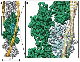 Penn State Acquires Cryo-Electron Microscope to Promote Materials Science and Biomedical Research