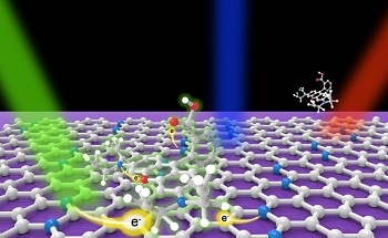 International Team Uses N-doped Graphene to Develop Ultrasensitive Sensor