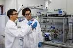 Scientists Use Hydrophobic Membrane with Nanopores to Develop New Energy Storage Systems