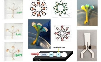Cal State LA Awarded Grant to Educate Future Leaders in Field of Paper-Based Microfluidics