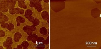 Patterning Monolayer Graphene Nanoribbons with Zigzag Edges