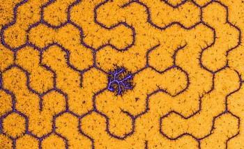 Artificial DNA Condensation Recreated on Biochip
