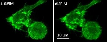 New Multi-View Microscope Captures Higher-Resolution 3D Images