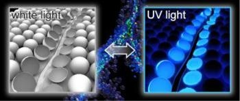 Scientists Develop New Method of Identifying Damages in Polymers
