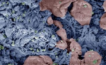 Nanoparticles to Stop Internal Bleeding Could Help to Save Lives