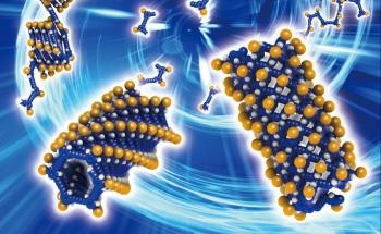 Researchers Develop New 'Helix-to-Tube' Strategy to Synthesize Covalent Organic Nanotubes