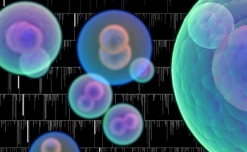New Microfluidic Device Could Facilitate Rapid Drug Tests