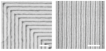 Researchers Successfully Squeeze More onto Limited Wafer Space of Computer Chip