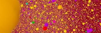 Newly Developed Nanoscale Elements Could Help Govern Behavior of Human Teeth