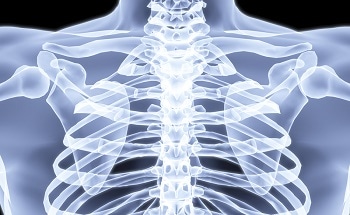Chemists Formulate Innovative 3D Bone-Scanning Method