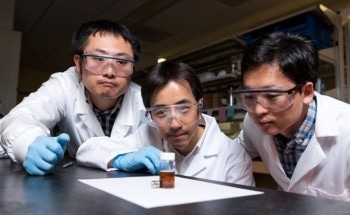 Researchers Develop Robust Strategy to Produce Rich Variety of Nanorods