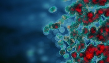 Nanoparticle Drug Cocktail Optimizes Checkpoint Blockade Immunotherapy for Potential Treatment of Cancers