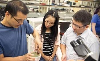 Scientist Develops Human Brain-Inspired Microchip