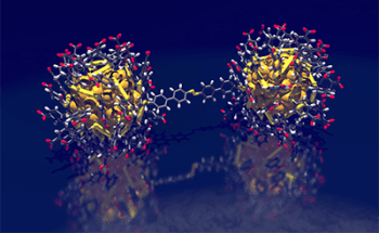 Scientists Produce Rings and Chains of Gold Nanoparticles