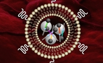 New Nanosensors for Measuring Enzyme Levels, Help Choose Appropriate Cancer Treatments