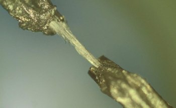 Bundles of Microtubes Developed by Peptides Convert Thermal Energy into Electrical Energy
