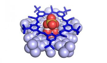 Newly Detected Molecular Structure Provides Chemical Solutions for Environmental Problems
