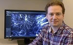LaVision BioTec Reports on the Measurement of Mouse Brain Activity from a Single Snapshot – the Latest Work Published in Cell from Dr Nicolas Renier at the Rockefeller University in New York