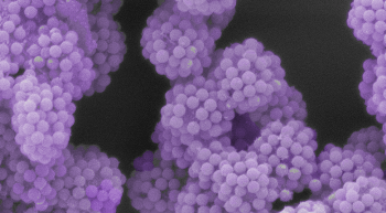 Nanoscale Engineering Technique can Transform Particles into “LEGO-Like” Blocks