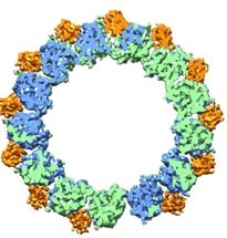 Workshop on Electron Microscopy Focuses on Contributions of Berkeley Lab