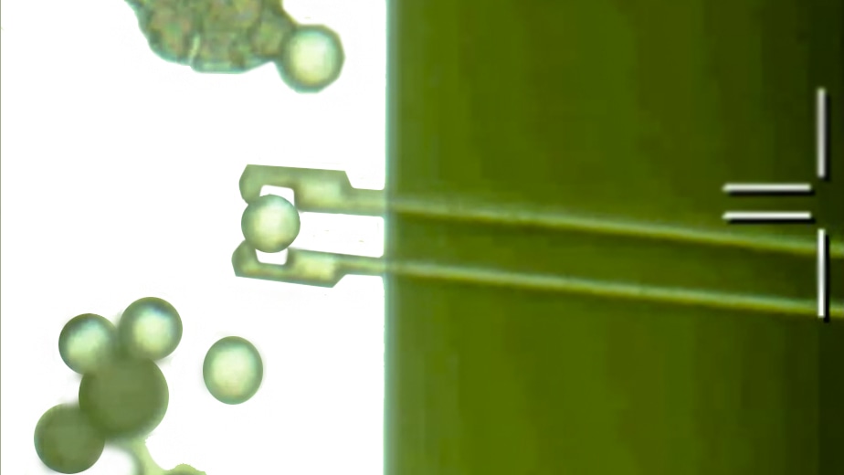 Ground-Breaking Light-Activated Semiconductor Nanocomposite Material Moves in Response to Light
