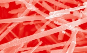 New Nanowire-Quantum Dot Approach Shows Promise for Splitting Water into Oxygen and Hydrogen Fuel