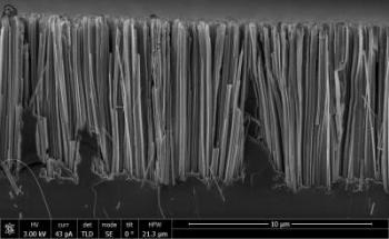 Researchers Work Out New Eco-Friendly Method for Making Silicon Nanowires