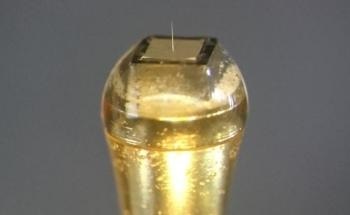 Extremely Minute Extracellular Needle-Electrodes for Brain Mapping