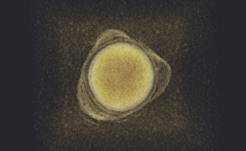 Advanced Electron Tomography Techniques Help Reveal Structure and Composition of Polymer Nano-Patches