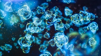 Application of Nanomaterials for Treatment of Neurological Disorders