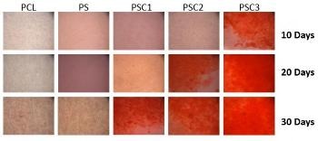 Employing Nanocellulose in Reinforced Plastics and Dental Regenerative Medicine