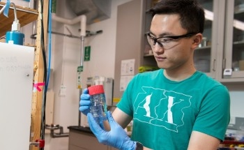 Stanford Research Findings on Platinum Catalysts Could Lead to Better Fuel Cells