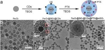 ‘Nanocarriers’ Loaded to Transport Cancer Drugs and Imaging Particles to Tumor Site
