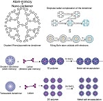 Tokyo Institute of Technology research: New Aspect of Atom Mimicry for Nanotechnology Applications