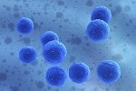 Novel Nanoscale Vehicles for Drug Delivery