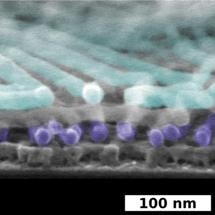 Nanoscale Interactions Help Create Self-Assembled Materials with Unprecedented Complexity