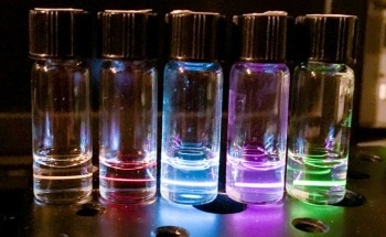 Feeding Nanoparticles to Worms Helps Testing Biological Force Sensor Technology